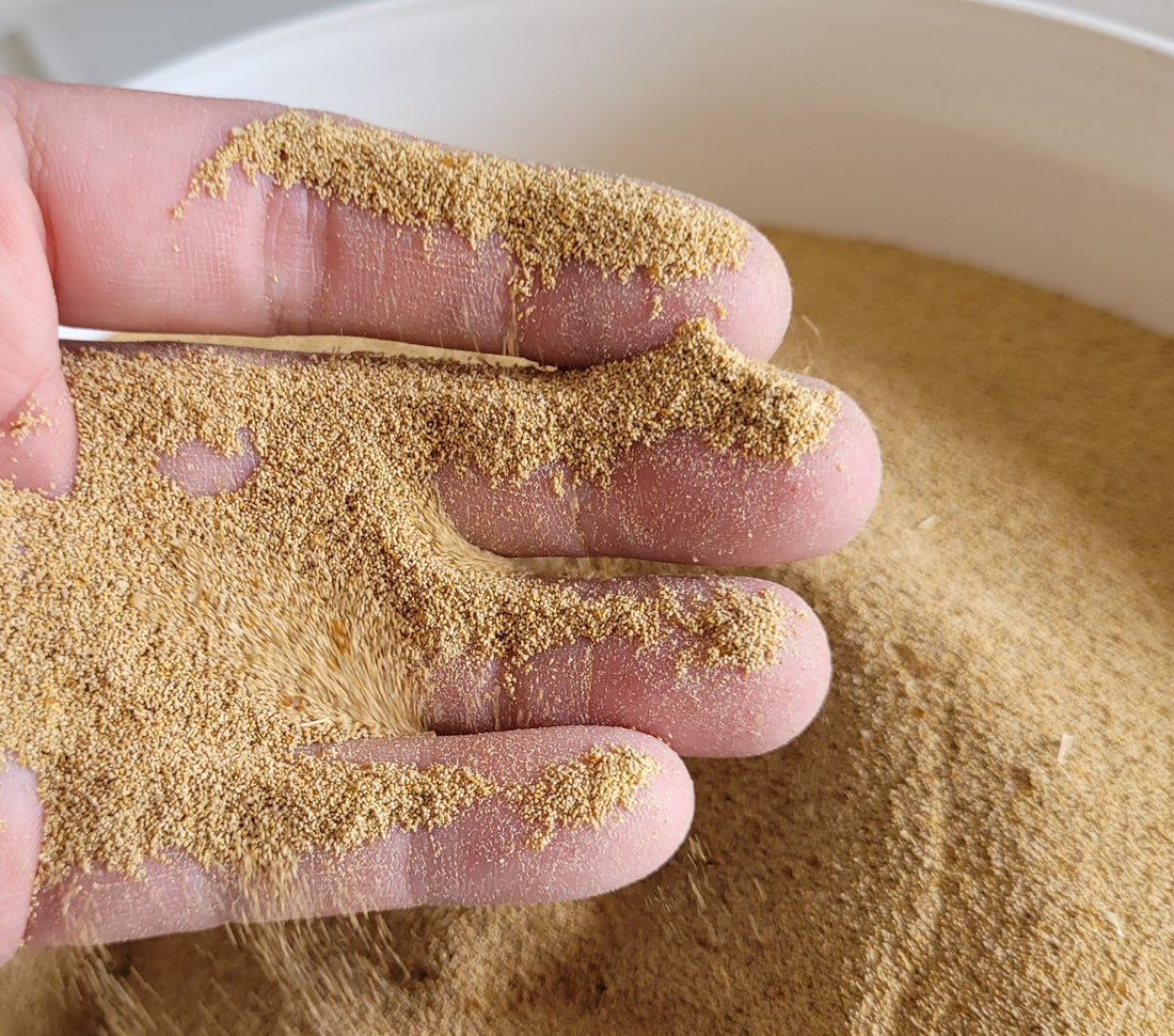 How Do I Use Mealworm Frass on my Plants?